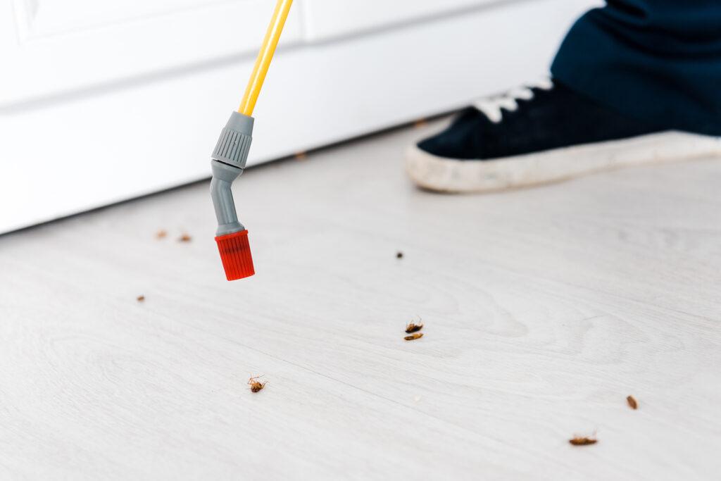 Results exterminator holding toxic spray near insects on floor