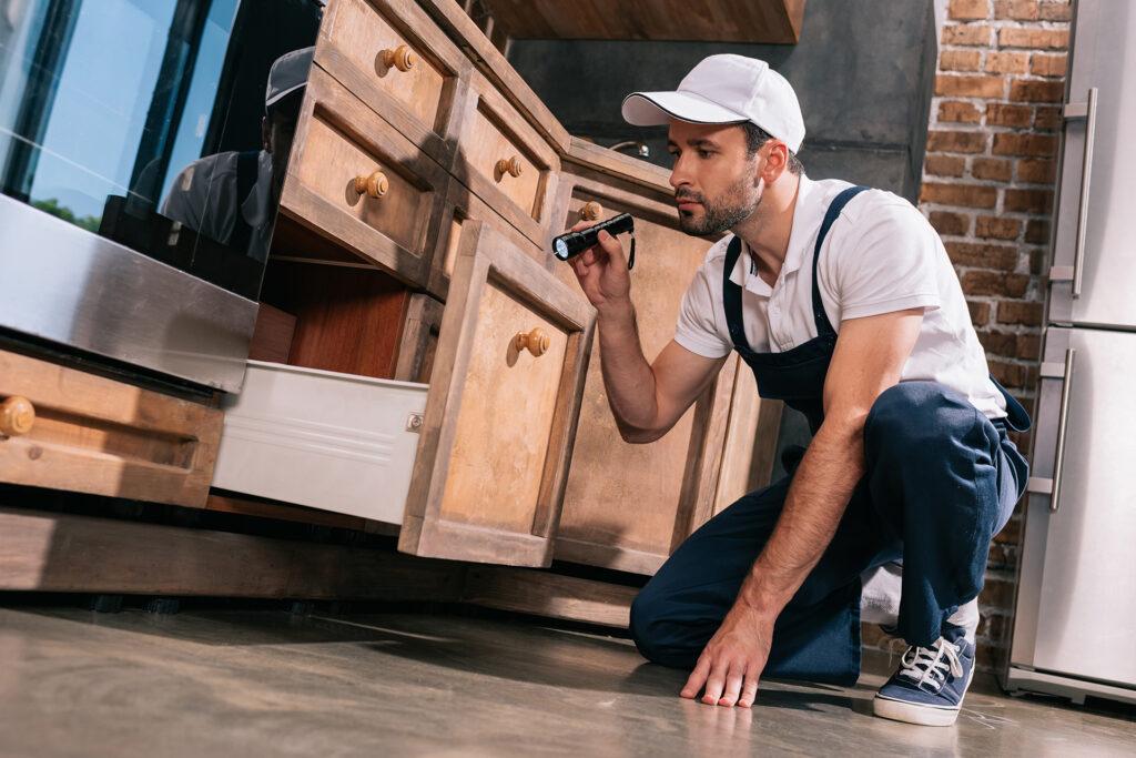 Results pest control worker examining kitchen with flashlight